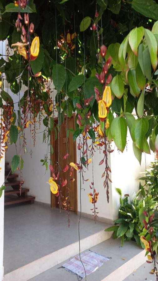 Hotel Aconchego Chapada 3*